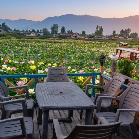 Golden Hopes Group of Houseboats