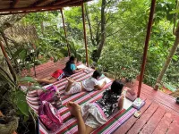 The Secret Hut - Tree-Huts de Busay - Bed and Breakfasts