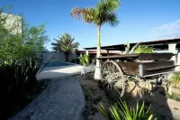 The Colony La Ventana - Hostels