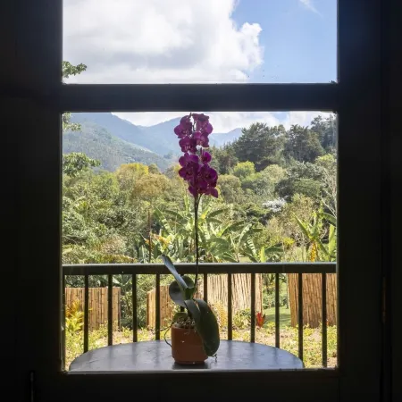 Sazagua Reserva Natural Cocora