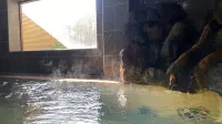 Japanese-Style Hot Spring Resort Kano - Hot Springs