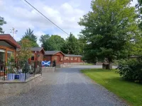 Peacock Lodge Quirky Tranquil Home Away from Home - Homestays