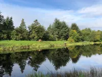 4 Person Holiday Home in Oksbøl-by Traum - Wifi