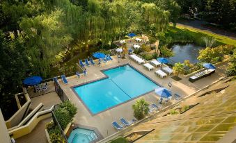 Hilton Bellevue