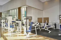 Paragraph Resort & Spa Shekvetili, Autograph Collection - Gym