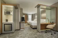 SpringHill Suites Louisville Downtown - Gym