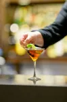 The Westin San Francisco Airport - Baarit