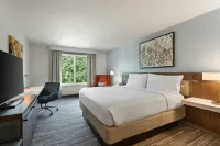 Hilton Garden Inn Melville - Pet friendly