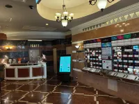 大阪豐中莎莎飯店-限大人 - Wi-Fi