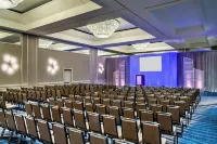 Grand Hyatt Tampa Bay - Lemmikkieläimet sallittu