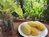 Retro at Mae Rim - breakfast