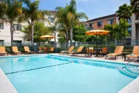 Courtyard Oakland Airport Hotels in San Leandro