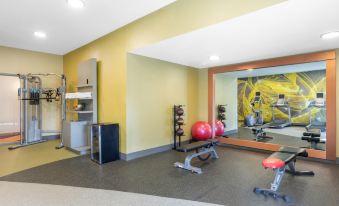 a well - equipped gym with various exercise equipment , including a treadmill , weights , and a bike , as well as a window at Hilton Garden Inn Gilroy