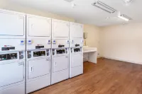 HomeTowne Studios Colorado Springs - Airport - Motel