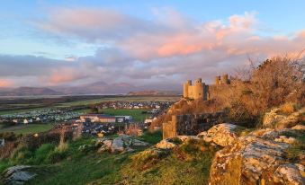 Y Branwen Restaurant & Rooms - Adult Only and Dog Friendly
