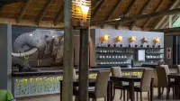 Royal Thonga Safari Lodge - bar