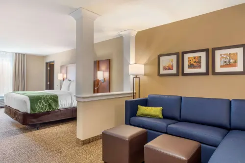 Comfort Inn & Suites Schenectady - Scotia - Træningscentre