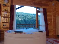 Abant Kartal Yuvasi Hotel Hotels in Dereceoren