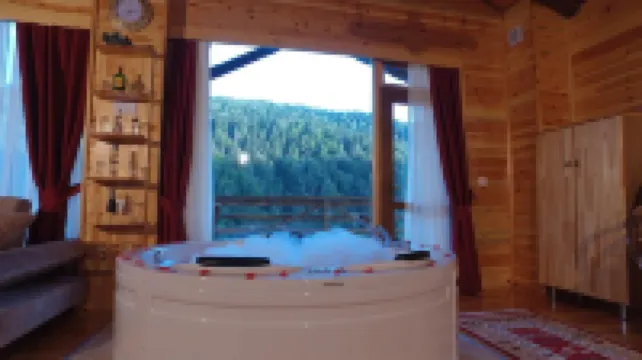 Abant Kartal Yuvasi Hotel Hotel di Dereceören Köyü