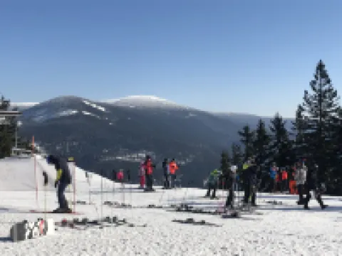 Harrachov Resident Vesna