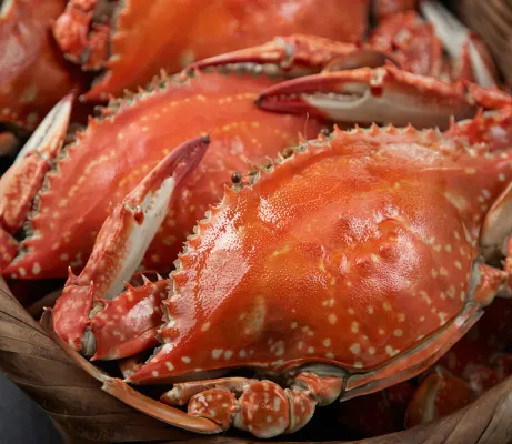 Obama Onsen Private Spa Hotels <Orange Bay> Hotels in Unzen