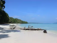 Dolphin Beach Resort Các khách sạn ở South Andaman
