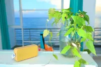 Trinco Beach by Dsk - Pet Friendly