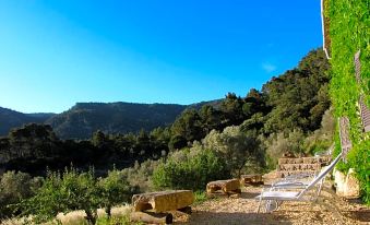 Mirabó de Valldemossa