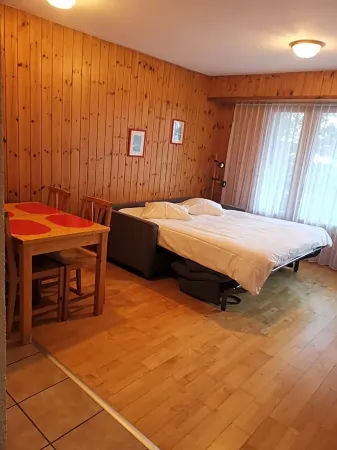 Hôtel les Bains d'Ovronnaz Отели рядом с достопримечательностью «Forêt Faraire»