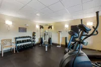 Best Western Falcon Plaza - palestra