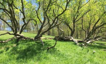 Rainbow Ridge Farms - Housity