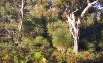 Boranup Forest Retreat