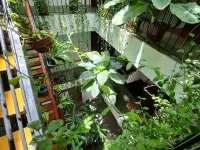 Nicobar Con Dao Hotel Hotels near Bãi Đầm Trầu