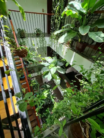 Nicobar Con Dao Hotel Отели рядом с достопримечательностью «Khu biệt lập Chuồng bò»