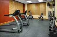 Hampton Inn Petersburg-Southpark Mall - Træningscentre