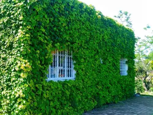 西提歐薩皮蘭加酒店