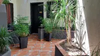 Apartamentos Monasterio de San Antonio Hôtels à proximité de : El Drago Milenario