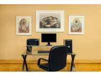 SureStay by Best Western Chambers Petrified Forest Hotel a Apache County