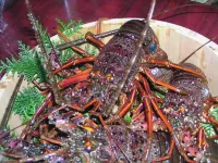 Minshuku Isonoaji Nakora