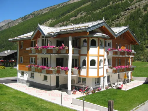 Alpenstern Aelpi