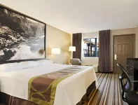 Super 8 by Wyndham Monteagle TN Hotels in Sewanee