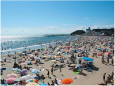 まるは食堂旅館 南知多豊浜本店 南知多のホテル