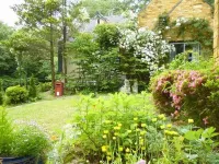 British Forest Hotel Queen's Manor