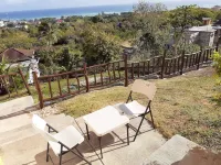 Poinciana House Hotels in 