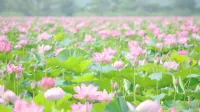 Business Hotel Takekawa Hotels in Kurihara