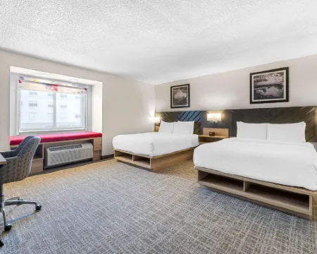 Best Western Buffalo Inn & Suites Hotels in Lancaster