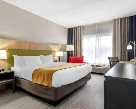 Comfort Inn & Suites Calhoun South Hotels in Calhoun