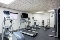 Holiday Inn Express & Suites BRADENTON EAST-LAKEWOOD RANCH by IHG - gimnasio