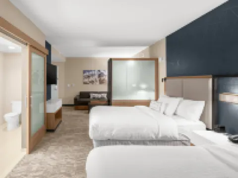 SpringHill Suites Jackson Hotels in Jackson