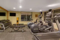 Wyndham Garden Buffalo Downtown - Gym